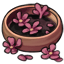 Calming Petal Eye Wash