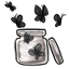 Jar of Captured Black Butterflies