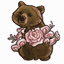 Bashful Bear Blooms