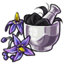 Grinded Deadly Nightshade Remedy