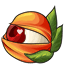 Guarana Winking Eyes