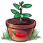 Little Potted Pepper Friend
