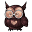 Sassy Owly Specs