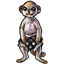 Silk Meerkat Shorts