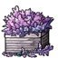 Box of Lavender