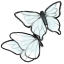 Lucent Little Butterflies