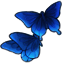 Languid Little Butterflies