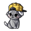 Wild Pupper Snapback