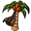 Wild Clothed Coconut Tree
