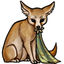 Gilded Green Loincloth of the Fennec Thief