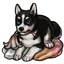 Reviving Husky Fabric of the Lily