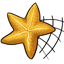 Starfish Net