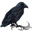Pale Locks of the Crow