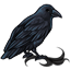 Dark Locks of the Crow
