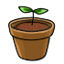 Lonely Potted Sprout
