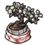 Lovely Fabric Wrapped Bonsai