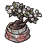 Silk Fabric Wrapped Bonsai