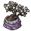 Calming Fabric Wrapped Bonsai