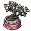 Nurturing Fabric Wrapped Bonsai