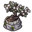 Nostalgic Fabric Wrapped Bonsai