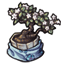 Unforgettable Fabric Wrapped Bonsai
