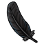 Single Crow Feather