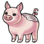 Pure Piggy Pumps