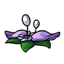 Lilac Antlephlora