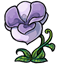 Lilac Chai Flower