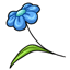 Dusk Flower