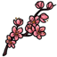 Pink Plum Blossom Sprig