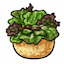 Beef Salad Bowl