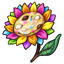 Celebratory Cookie Blossom