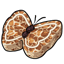 Cinnamon Butterfly Bun