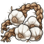Bound Garlic Bulbs