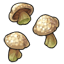Dappled Mushrooms