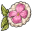 Pitaya Pressed Flower Shortbread Cookie