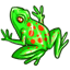 Green Gummy Frog