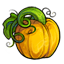 Pumpkin Fruit