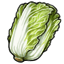 Nappa Cabbage