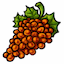 Orange Grapes