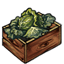 Cabbage Planter Box