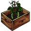 Peas Planter Box