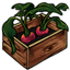Radish Planter Box