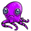 Purple Octoplus