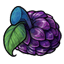 Purple Scale Fruit