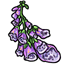 Lilac Foxglove