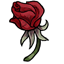 Survival Lone Red Rosebud