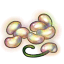 Rainbow Glowglo Seeds