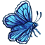Blue Copper Butterfly